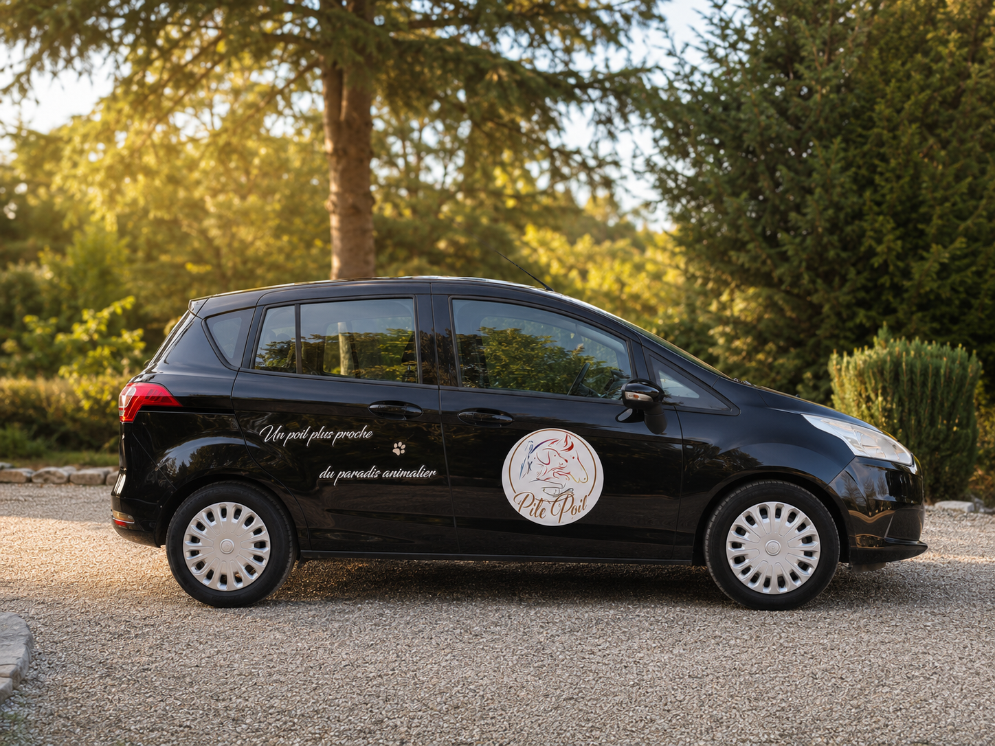 Véhicule Pile-Poil, taxi animalier à Narbonne - vue de profil