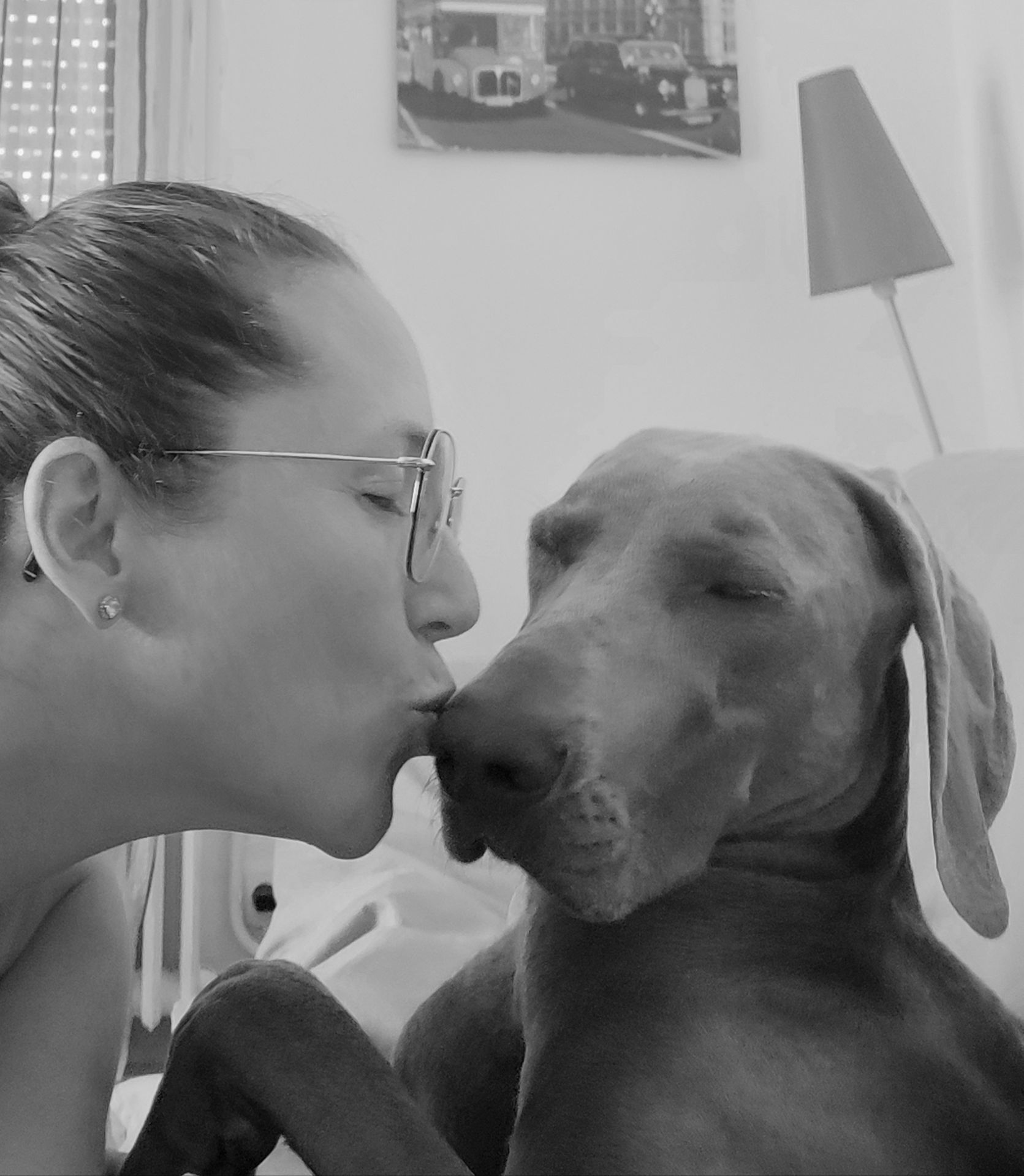 Photo d'un animal accompagné par Pile-Poil